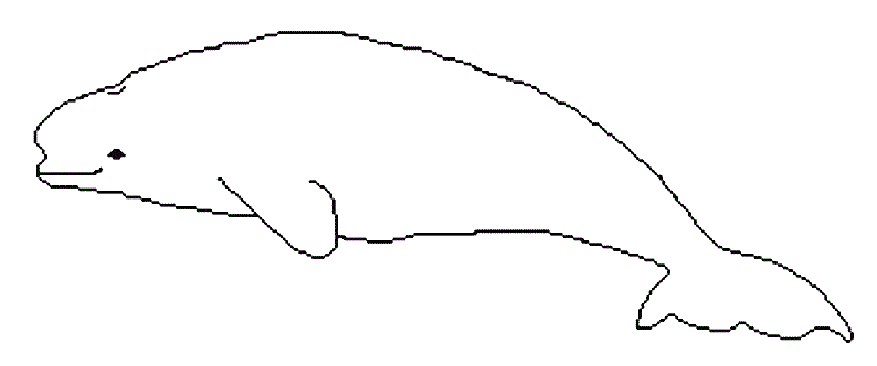 COLOREA TUS DIBUJOS: Ballenas para colorear