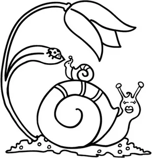 COLOREA TUS DIBUJOS: Caracol para colorear