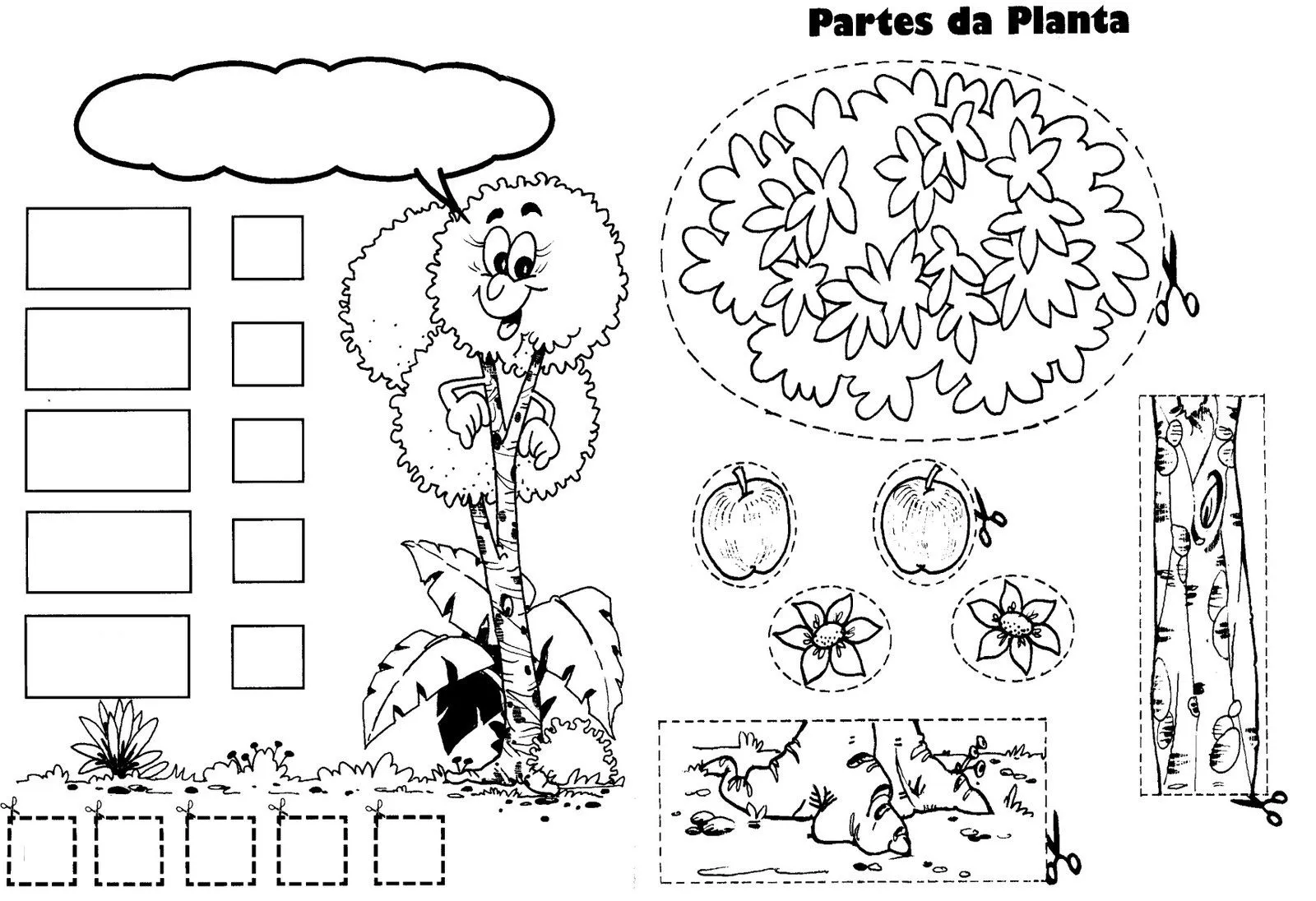 COLOREA TUS DIBUJOS: Plantas para colorear