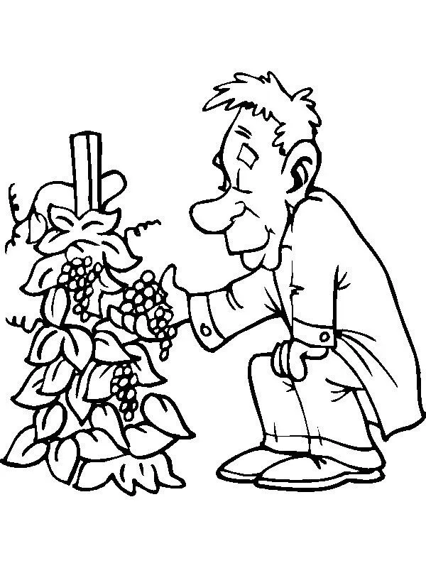 COLOREA TUS DIBUJOS: Viñedos para colorear y pintar