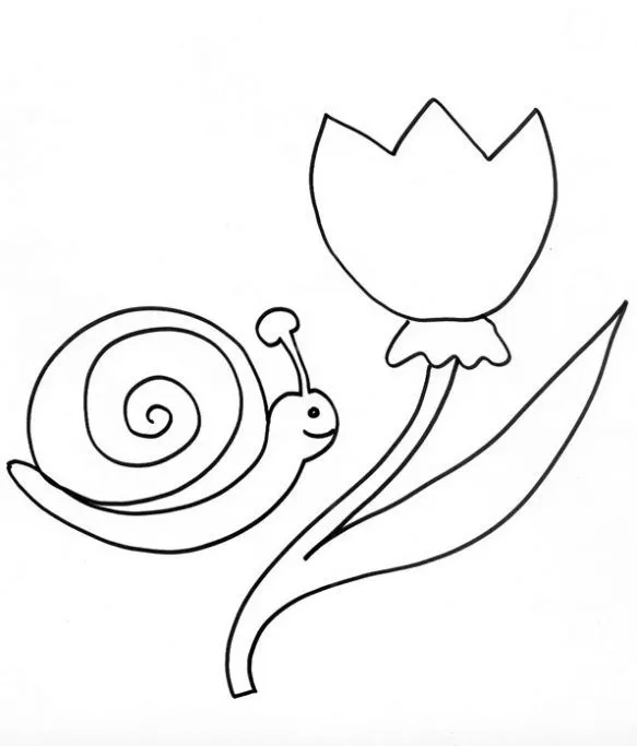 Dibujo de Caracol para colorear. Dibujos infantiles de Caracol ...