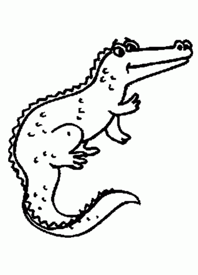 colorear-cocodrilos-2-dibujos- ...