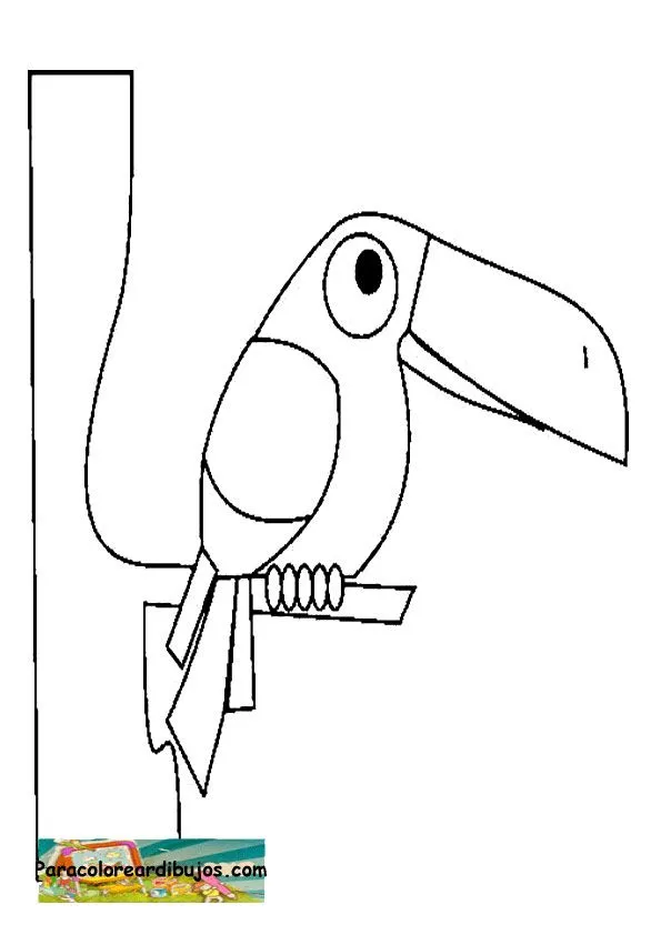 Para colorear dibujo de tucan | Colorear dibujos