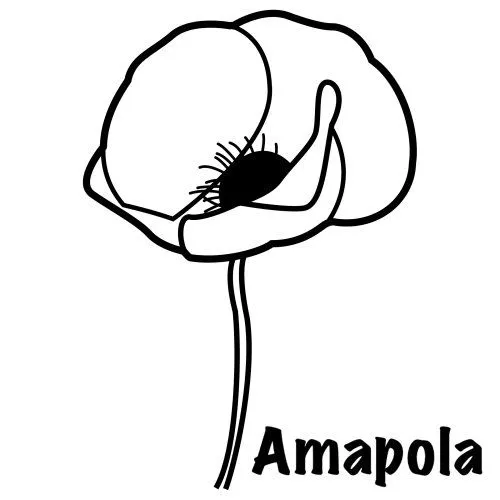 COLOREAR DIBUJOS DE AMAPOLAS