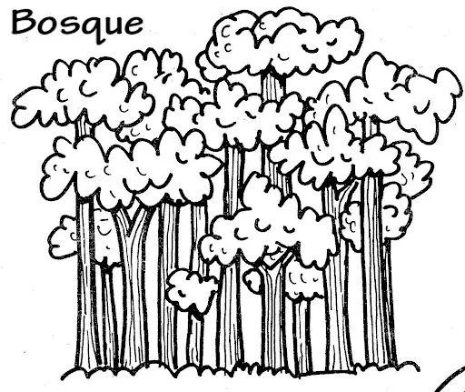 COLOREAR DIBUJOS DE BOSQUES