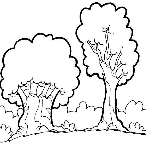 COLOREAR DIBUJOS DE BOSQUES