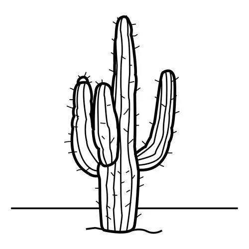 COLOREAR DIBUJOS DE CACTUS