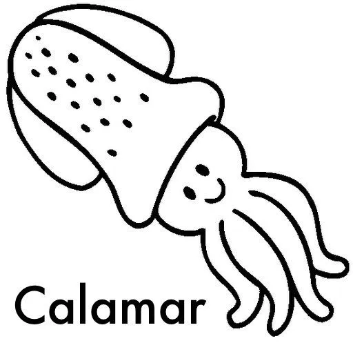 COLOREAR DIBUJOS DE CALAMARES