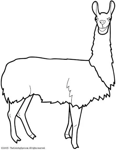 COLOREAR DIBUJOS DE LLAMAS | Dibujos para colorear