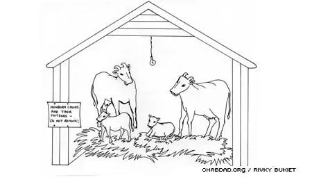 Para Colorear - Emor