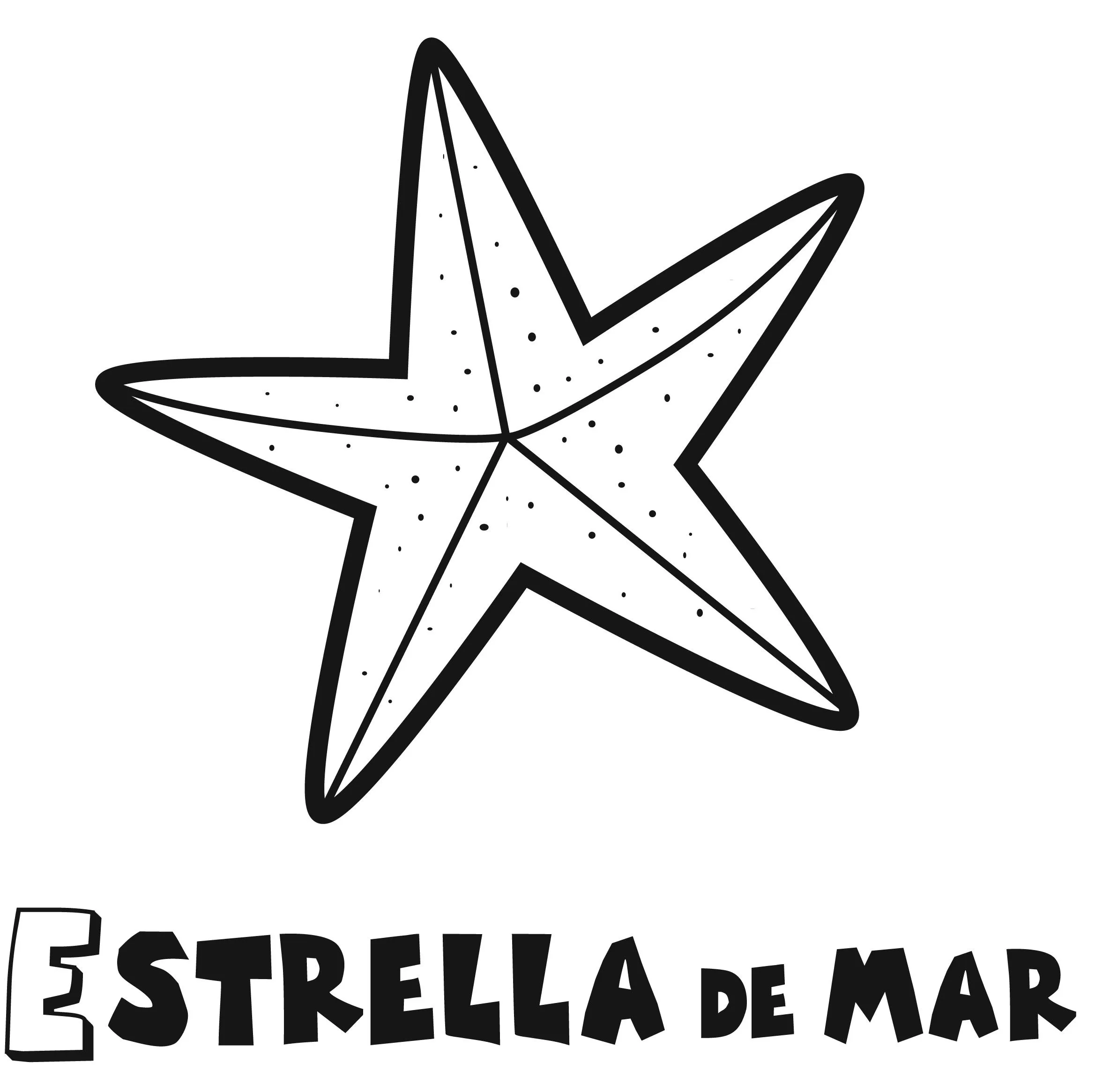 Estrellas De Mar Dibujos Colorear