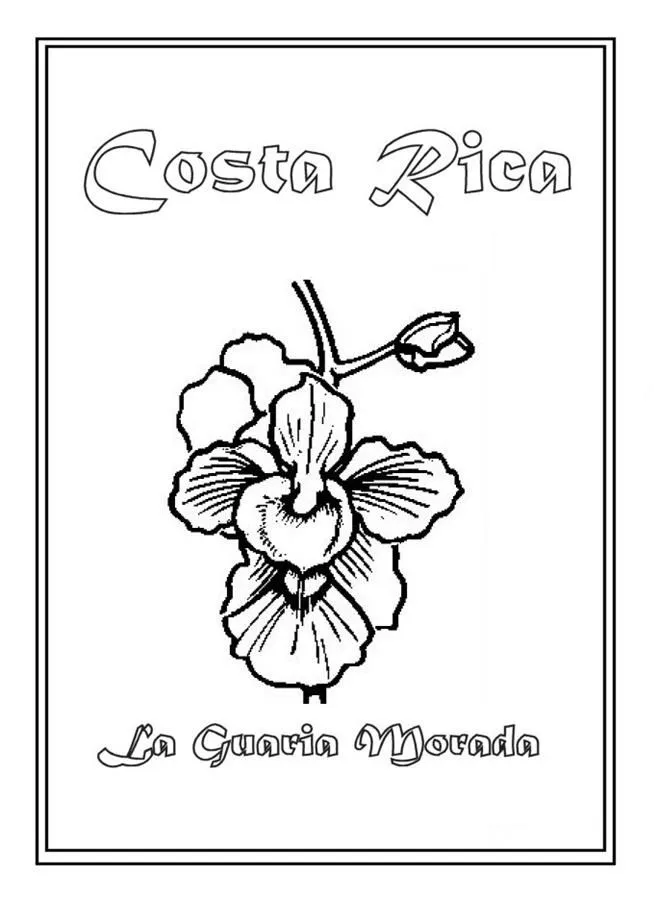 Colorear la Flor Nacional de Costa Rica: La Guaria Morada ...