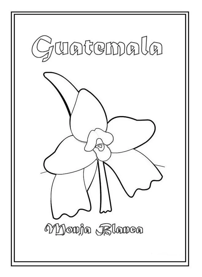 Colorear Flor Nacional de Guatemala: Monja Blanca ~ Dibujos para ...