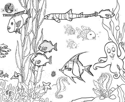 Colorear el mar | Manualidades Infantiles