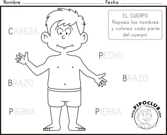 Colorear partes del cuerpo - Imagui