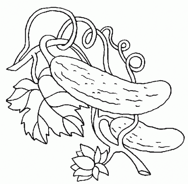 PEPINO PARA COLOREAR - Imagui