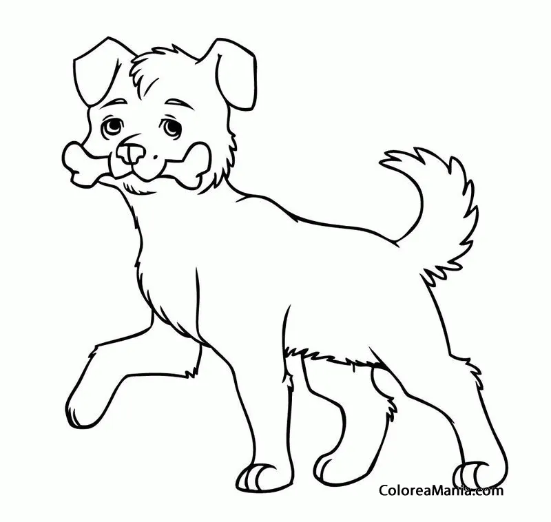 Colorear Perrito con un hueso (Animales Domésticos), dibujo para colorear  gratis