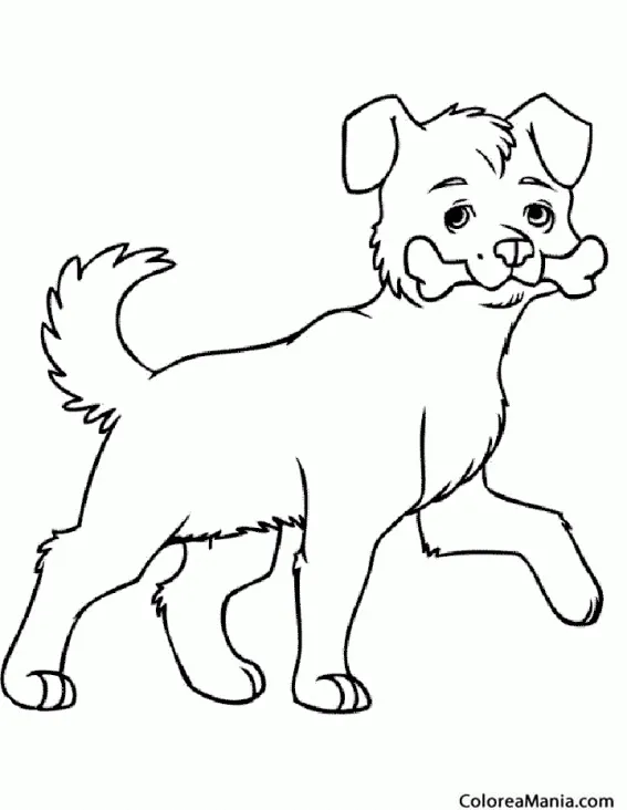 Colorear Perro con Hueso 2 (Animales Domésticos), dibujo para colorear  gratis