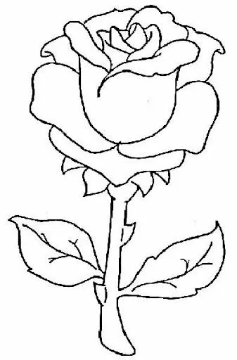 COLOREAR ROSAS DIBUJOS PARA COLOREAR DE ROSAS