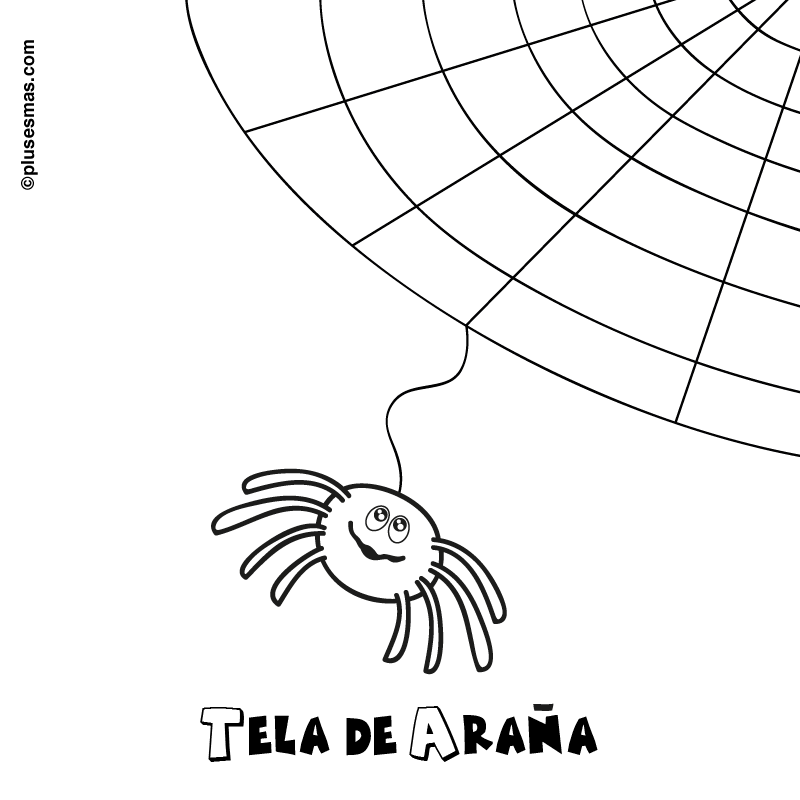 Colorear una tela de araña de Halloween. Colorear con niños. Ocio ...