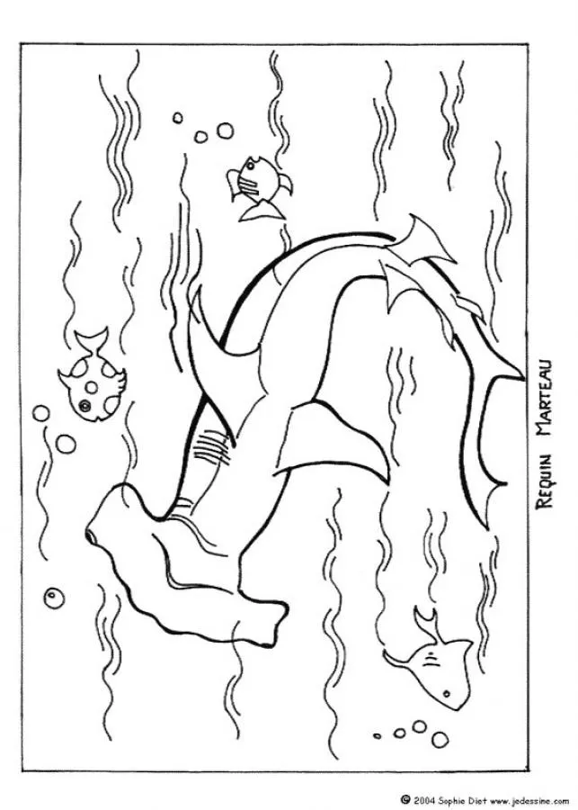 Colorear TIBURONES, TIBURON cabeza de Martillo para imprimir
