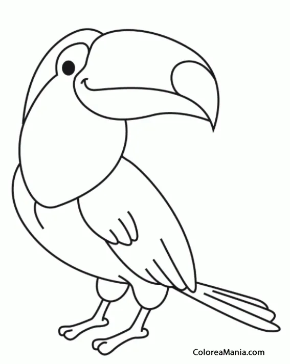 Colorear Tucán, de cómic (Aves), dibujo para colorear gratis | Dibujos de  tucanes, Páginas para colorear de animales, Dibujos para colorear gratis