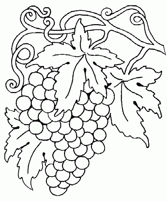 colorear-uvas-4-4-dibujos- ...