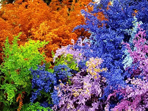 Colores y texturas - an album on Flickr