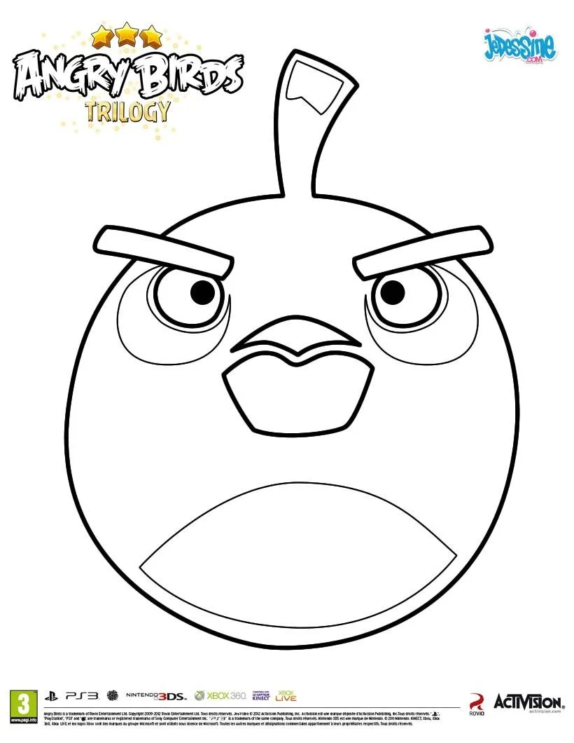 Coloriage ANGRY BIRDS - L'oiseau Bombe de ANGRY BIRDS