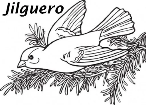 coloring-book-willow-jilguero- ...