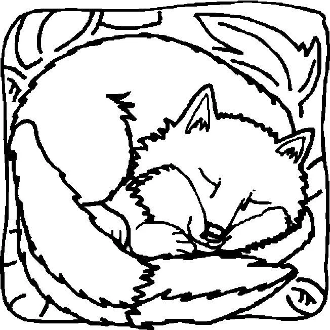 Coloring Page - Fox animals coloring pages 14