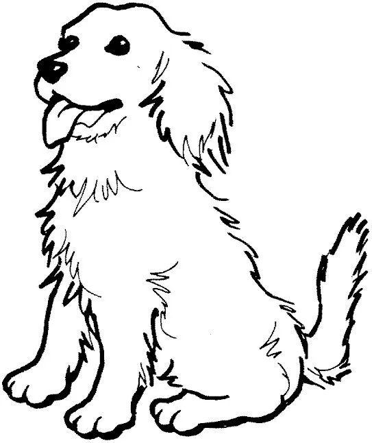 Coloring pages pitbull puppies - Imagui