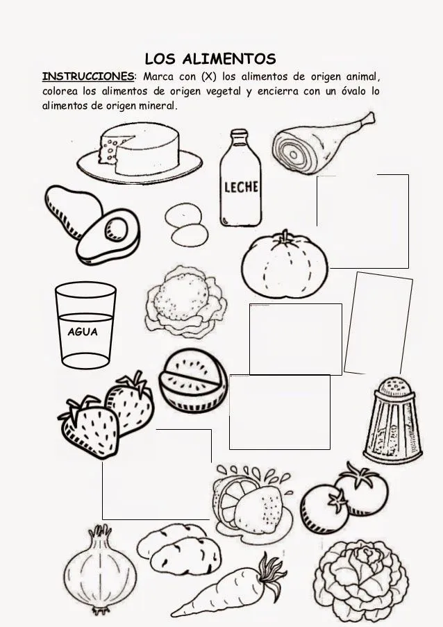 Somos lo que comemos!: Ficha para clase: clasificación de alimentos