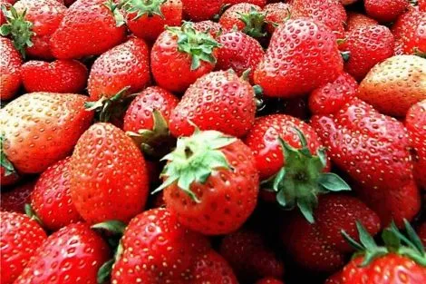 Comer fresas para proteger el estómago | Nutrición | elmundo.