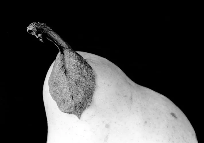 Comida Blanco y Negro Fotografía Artística :: PicassoMio