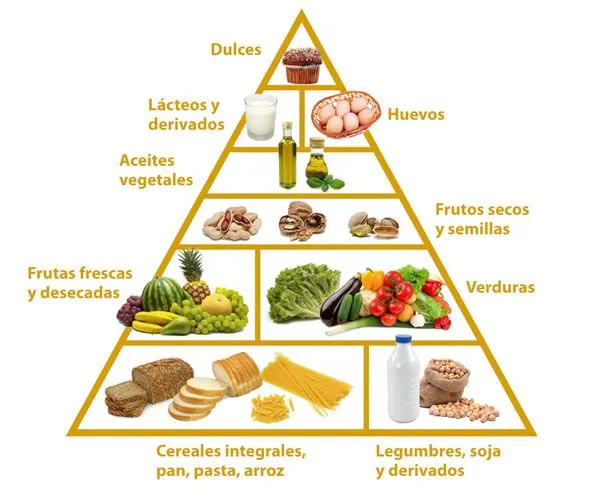 Dieta ovolacto vegetariana | Programa Pipo