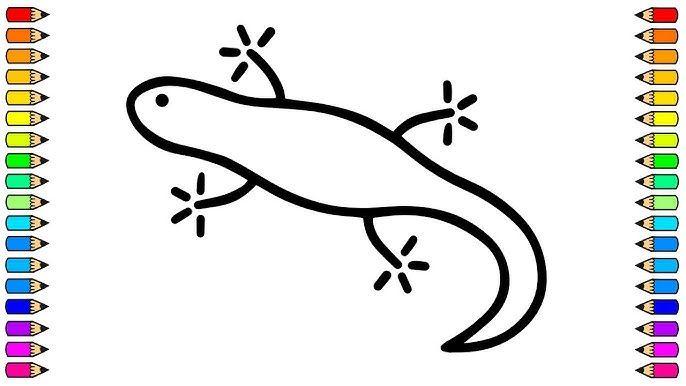 Cómo dibujar una LAGARTIJA / Dibujamos LAGARTIJA paso a paso / Dibujos para niños