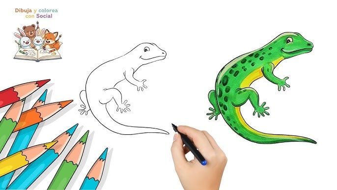 Cómo dibujar un Lagarto y colorear | Dibujo de animales paso a paso para niños