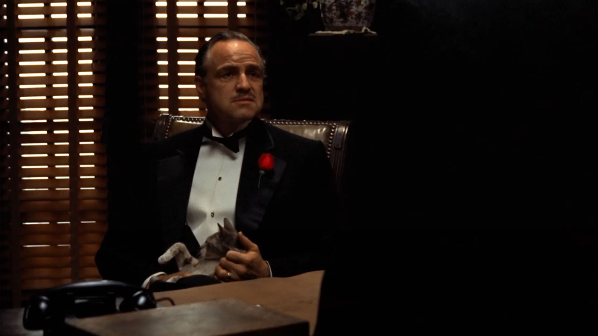 Cómo un simple gato cambió para siempre una de las escenas más recordadas de El Padrino - Infobae