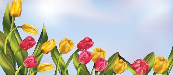 Lo que no se comparte... se pierde: Las flores más elegantes