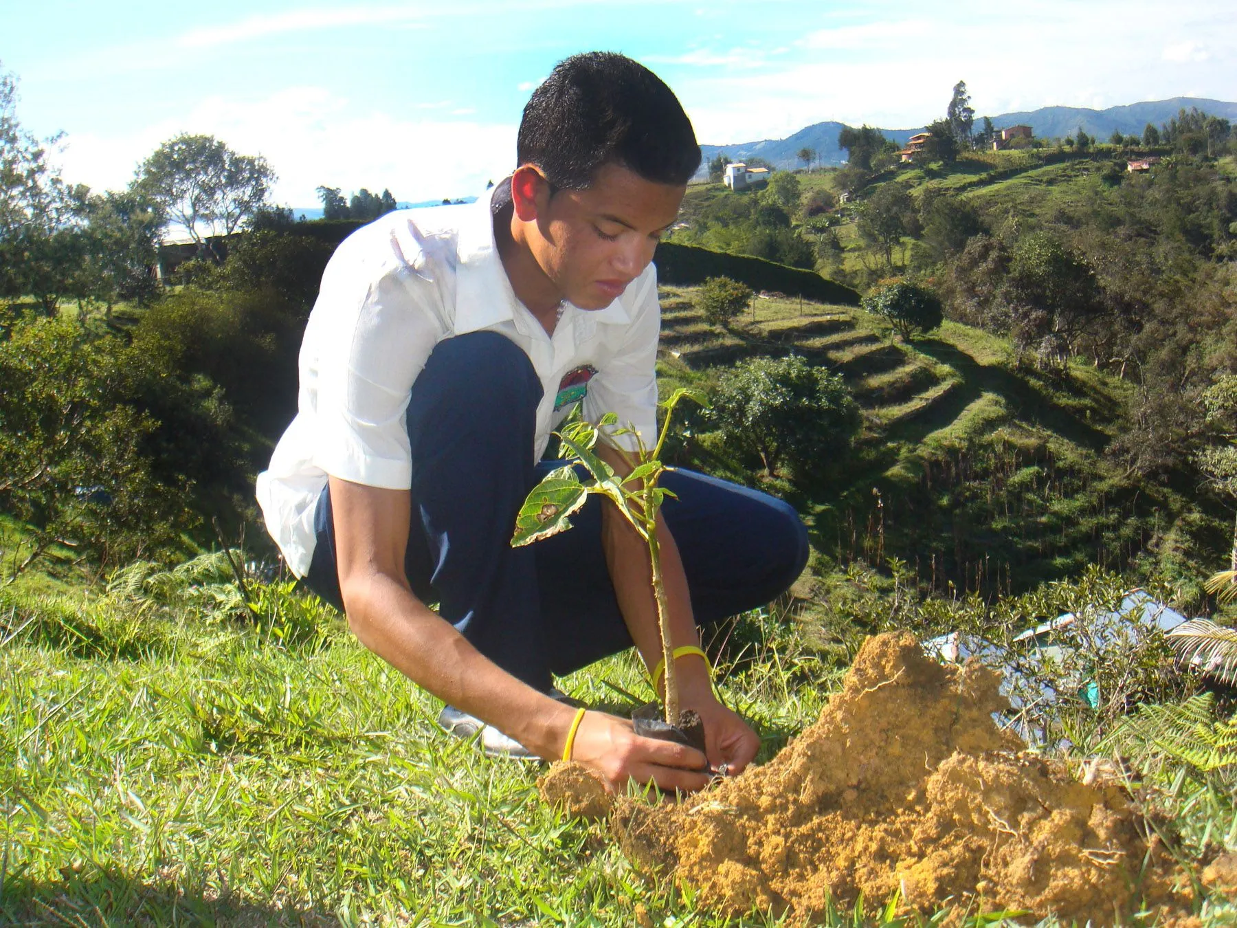 Compensar a la naturaleza: una labor institucional | Aprendices ...