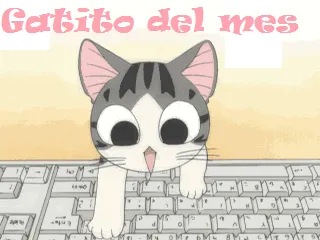 me complace mencionar que me encontre un gatito anime bien kawaii ...