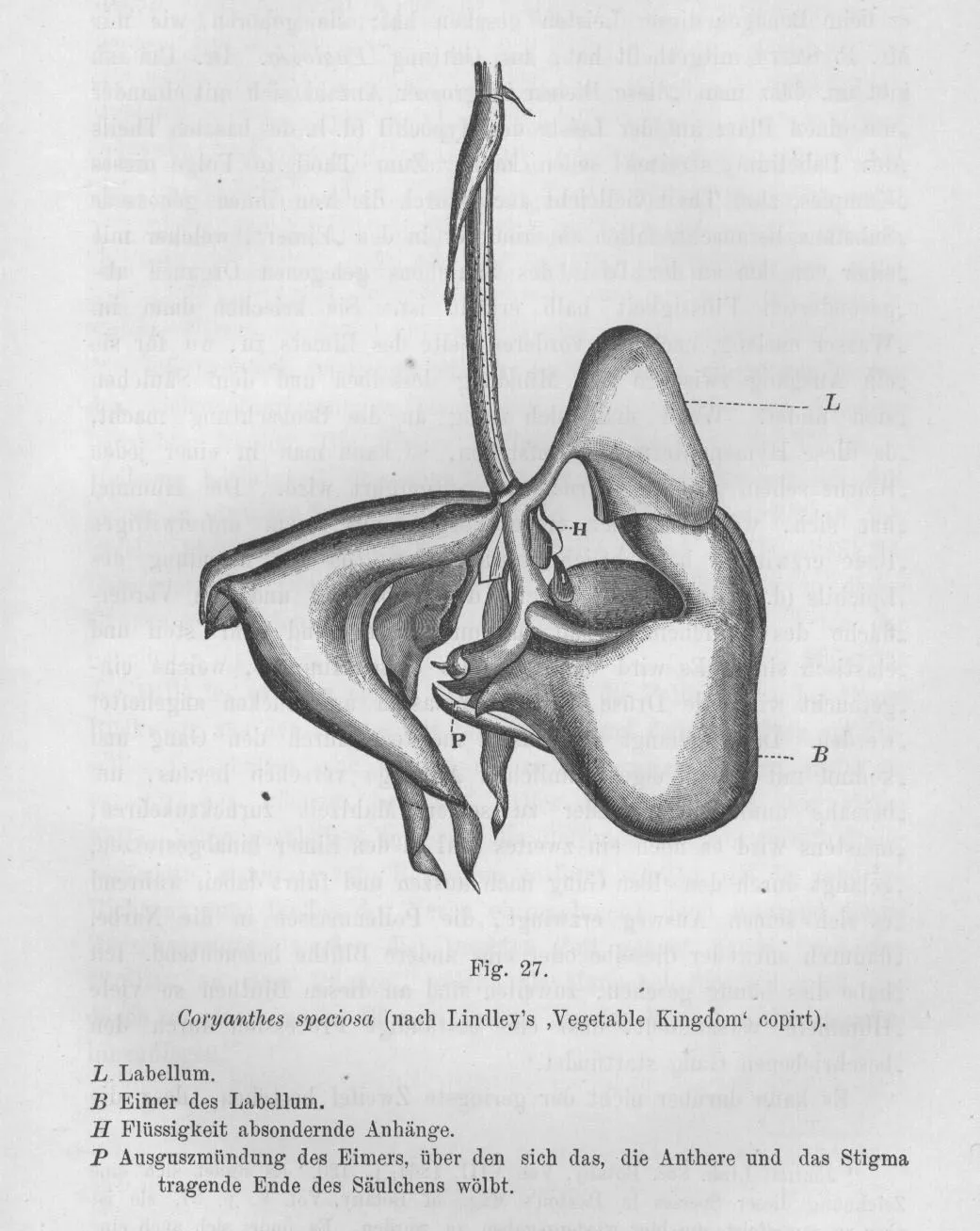 completa y el proceso de polinizacion partes de la flor