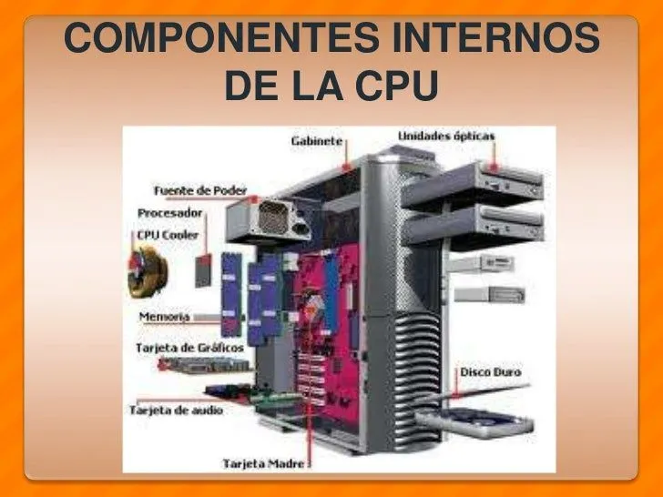 Componentes del cpu - Imagui