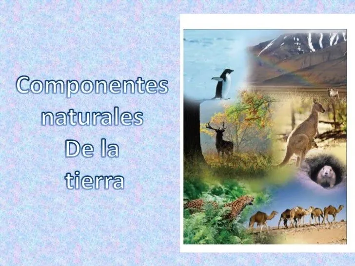 Componentes naturales de la tierra