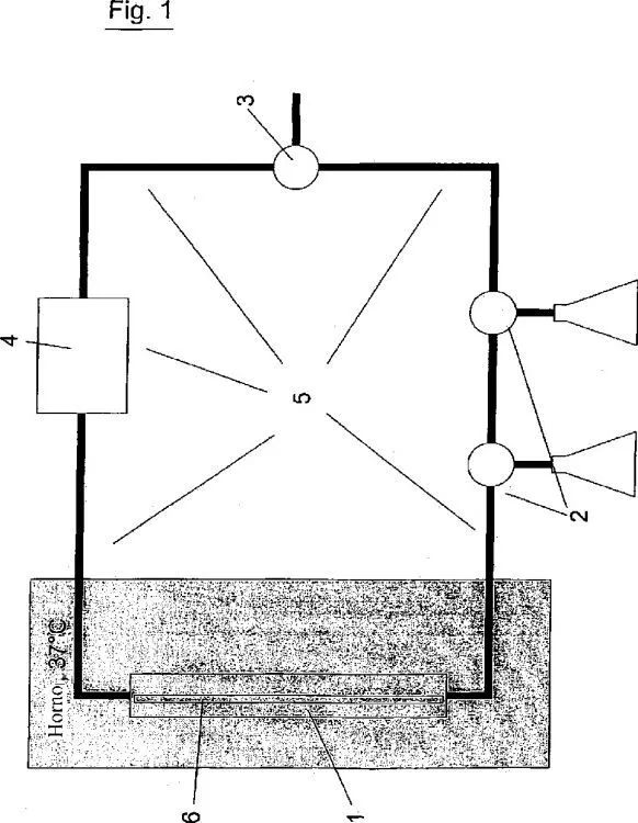 Composicion plastica antimicrobiana con una tasa baja de elucion y ...