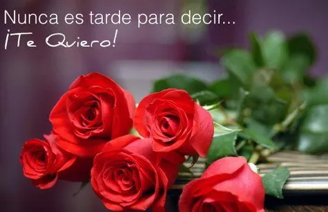 Comprar 12 rosas: di "te quiero" con un regalo lleno de significado