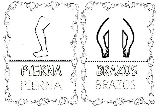 COMPROMETIDOS CON FE EN LA CAUSA: PARTES DEL CUERPO HUMANO PARA ...