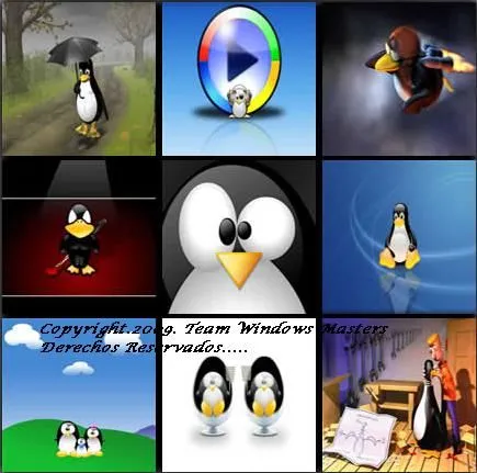 Todo Sobre Computación: Wallpapers de Pinguinos Linux..