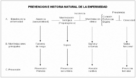 Comunicación promoción y prevención en salud (página 3 ...